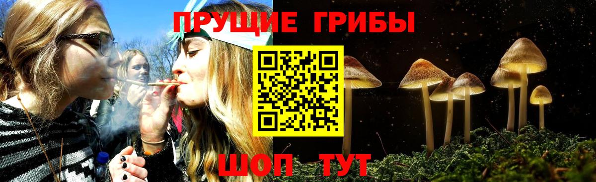 Псилоцибиновые грибы Psilocybe Углич