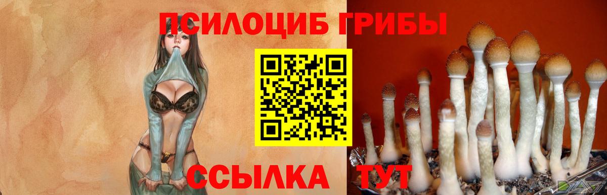 Псилоцибиновые грибы Углич